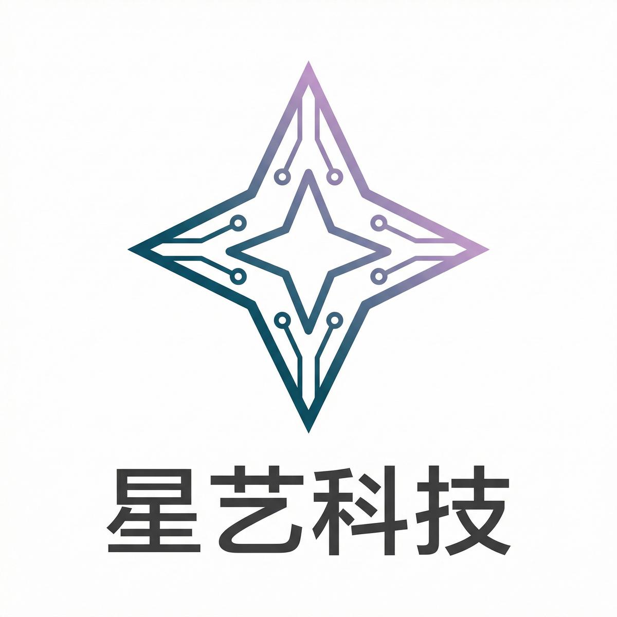 国产视频合作伙伴星艺科技